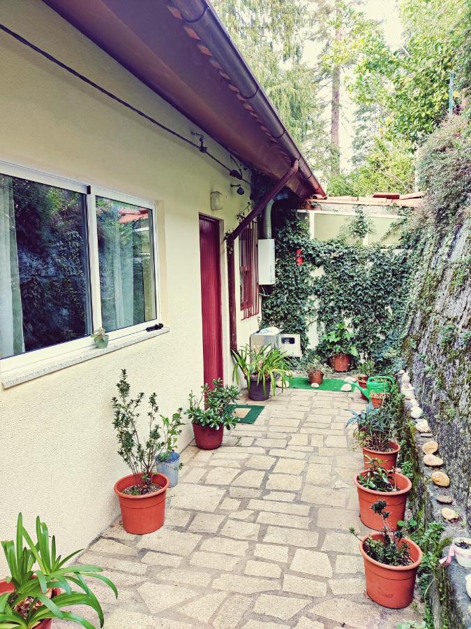 Ferral Monteiro'S Geres Countryhouse מראה חיצוני תמונה