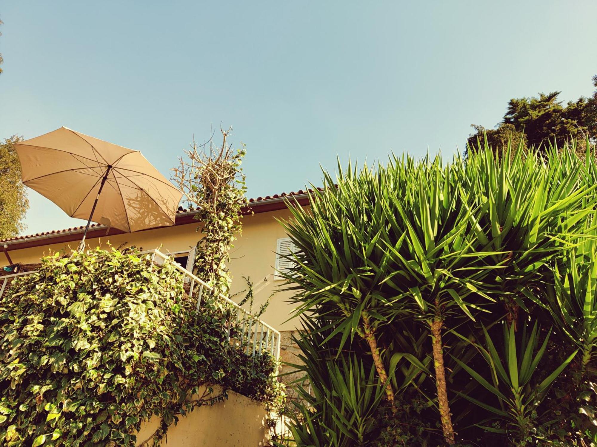 Ferral Monteiro'S Geres Countryhouse מראה חיצוני תמונה